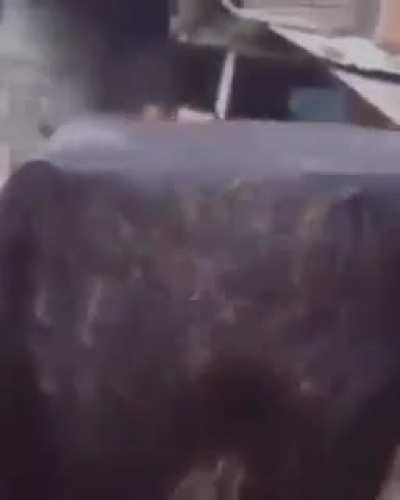 Gimme that Lego hair cut
