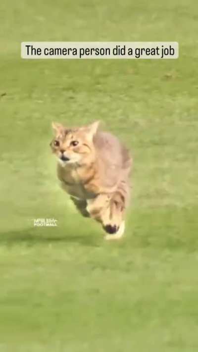 Fast as f boy