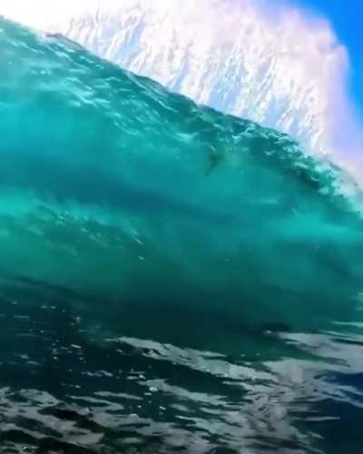Wipeout