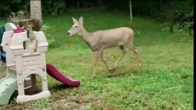 In the deer 2nite