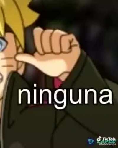 Ac&aacute; tengo carne de ioma (re largo el meme)