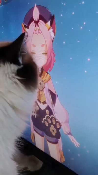 Outbuddied by a cat