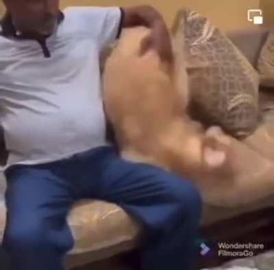 This is the most golden-retriever thing I&rsquo;ve ever seen!