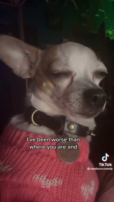 A break walks into a bar