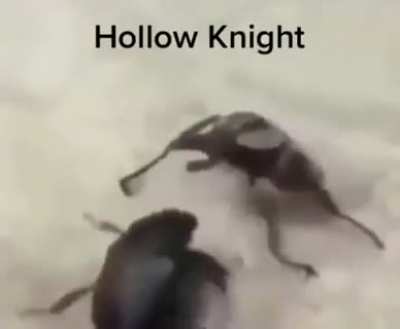 Batalha epica