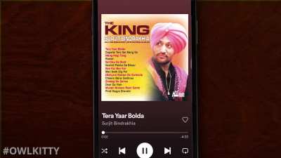 Overused Punjabi wedding songs - An Edit (Part-2)