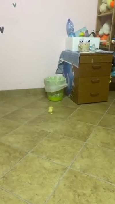MICHAEL JOR-