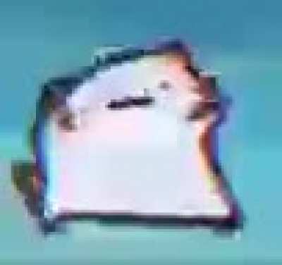 dancing cat