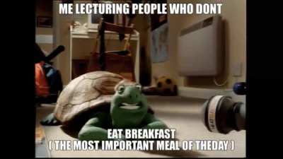 🐢🐢🐢