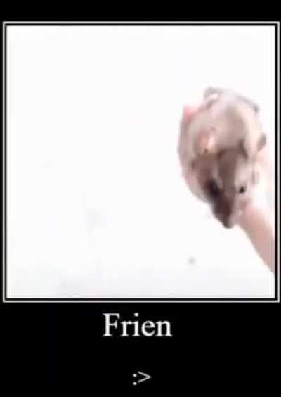 me hice amigo de un jugador de freefire :>