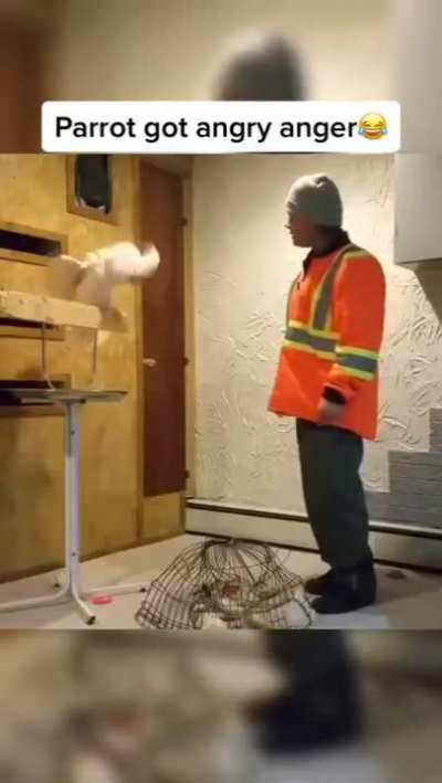 "Fuck yea FUCK YEAA.."