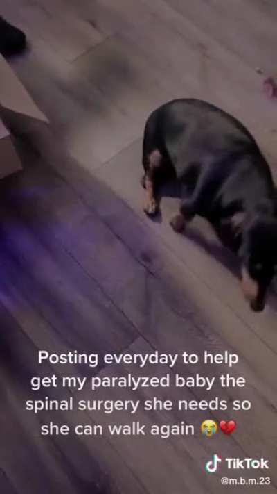 Guys please share this if you can, let's help her get her dog this surgery please!