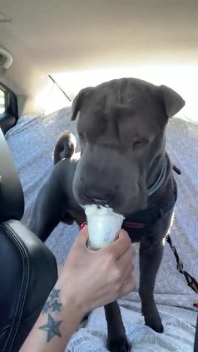 First &ldquo;puppacinno&rdquo; ...finally caved in and let him try... 😛