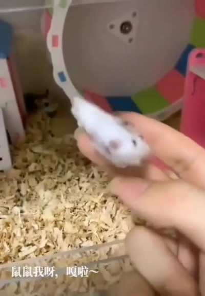 NANIKPosting - Video #1803