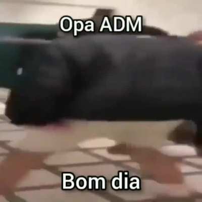 Bom dia grupo ☺️😃❤️💓💞