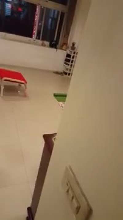 Guy films his mom practicing qigong