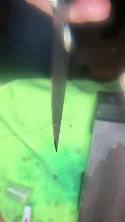 I dragged my less sharp thingy across some wet rocks and it&rsquo;s come back a more sharp thingy!