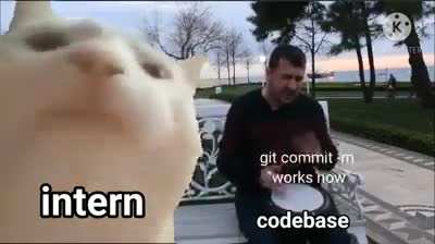 I am a programmer now!