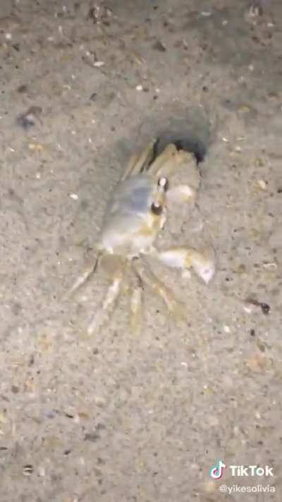 Pocket sand!