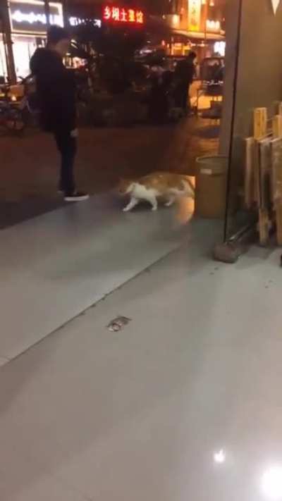 Michael Catson