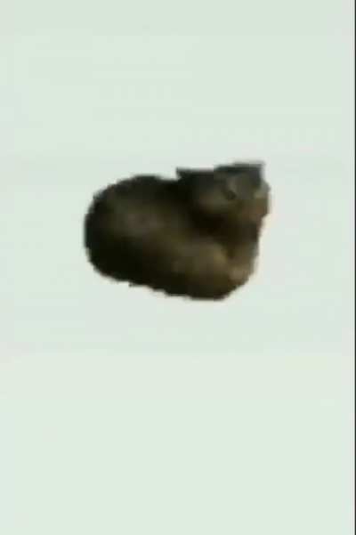 Mods are gone RIOT RIOT RIOT