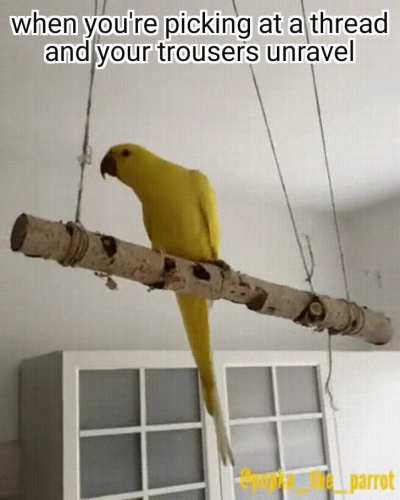 My mom always said "don't pick at it"