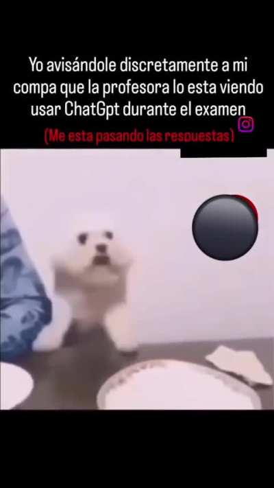 Xd