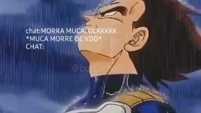 Pprt