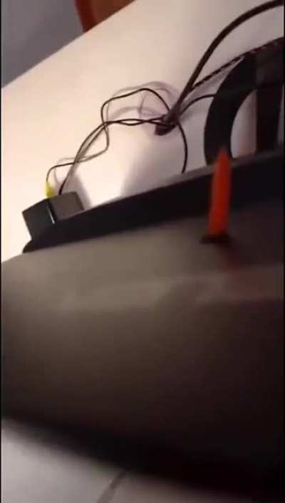 Monit&ouml;re F