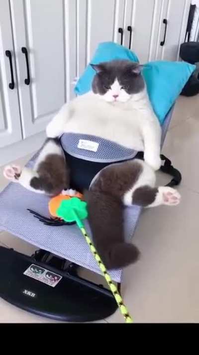 An absolute U-NIT.