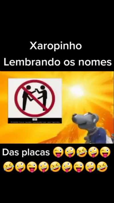 Seis t&atilde;o avisado