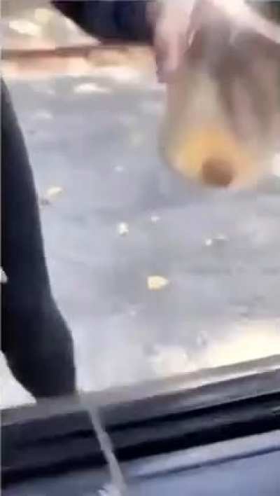 Almost had it.