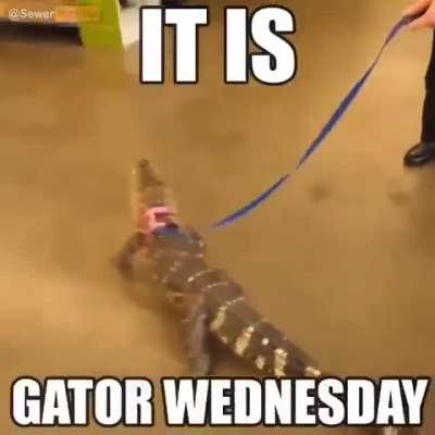 yall know what day it is 😈😈