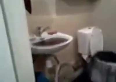 LoL
