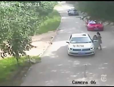 Tiger grabs woman in safari park