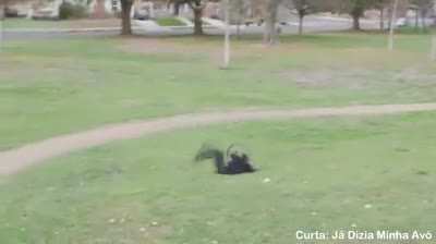 Bike stealing prank