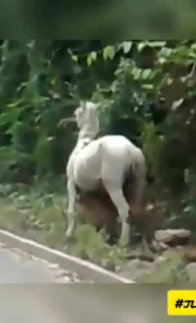 #sextou