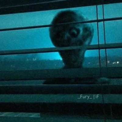 N&atilde;o assista se voc&ecirc; quiser dormir a noite, isso foi um aviso