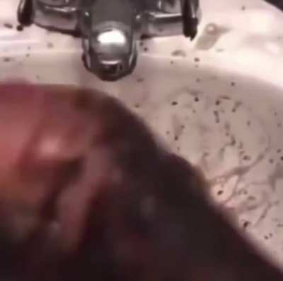 cursed_hands