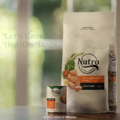 NUTRO&trade; recipes are made with high-quality, natural ingredients to help grow happy, healthy dogs.