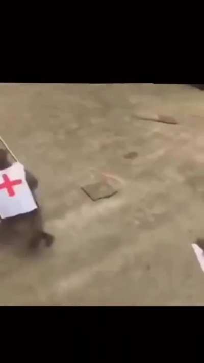 America healthcare