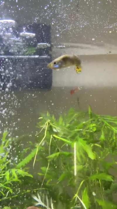Is she dying?