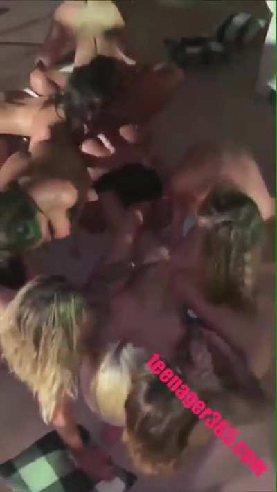 Paradise of Pussies