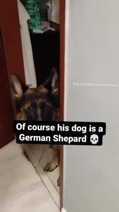 ☠️☠️