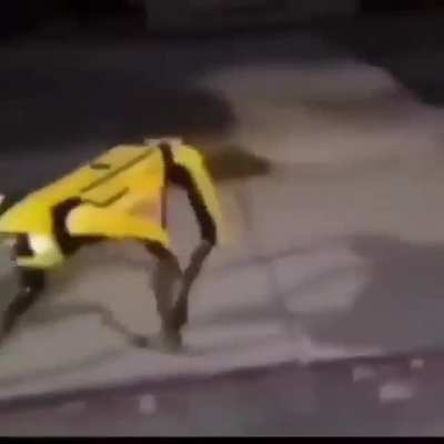 Simp&aacute;tico el robotito
