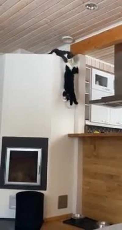 Low Budget Mufasa Death Scene