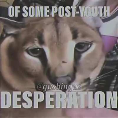 &amp;lt;3