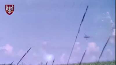 The moment Russian Ka-52 helicopter was shot down from MANPADS at point blank range in the Kursk region. By the 82nd Brigade of Ukraine.