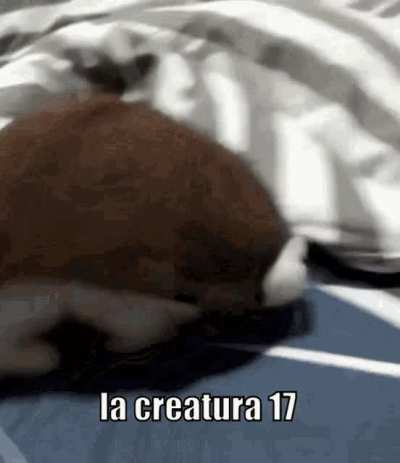La cruletura