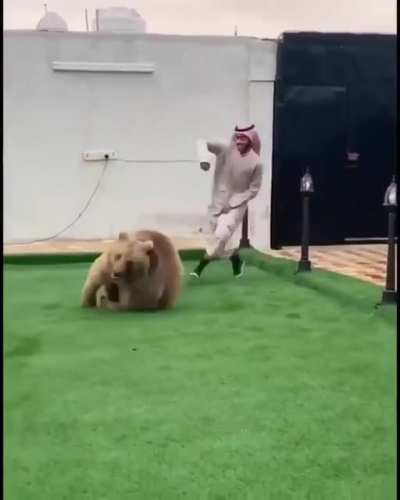 Oh no, run Forrest!